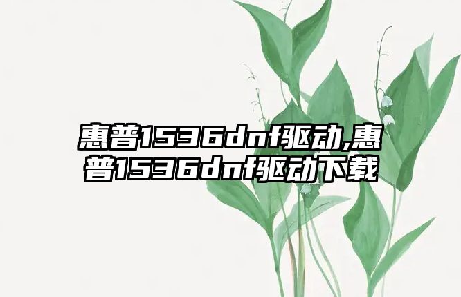 惠普1536dnf驅動(dòng),惠普1536dnf驅動(dòng)下載