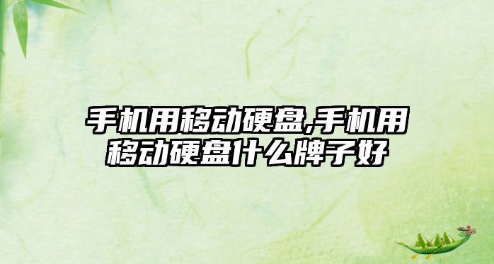 手機用移動(dòng)硬盤(pán),手機用移動(dòng)硬盤(pán)什么牌子好