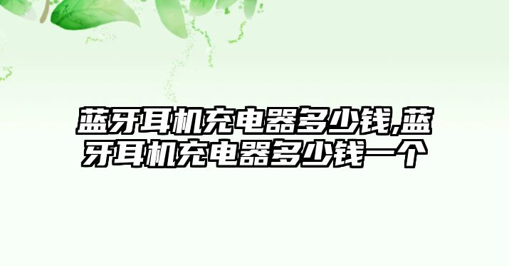 藍牙耳機充電器多少錢(qián),藍牙耳機充電器多少錢(qián)一個(gè)
