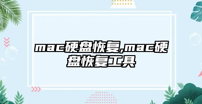 mac硬盤(pán)恢復,mac硬盤(pán)恢復工具