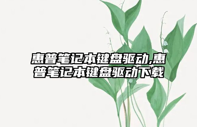 惠普筆記本鍵盤(pán)驅動(dòng),惠普筆記本鍵盤(pán)驅動(dòng)下載