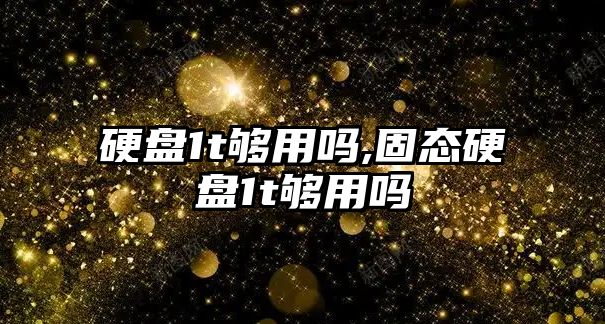 硬盤(pán)1t夠用嗎,固態(tài)硬盤(pán)1t夠用嗎