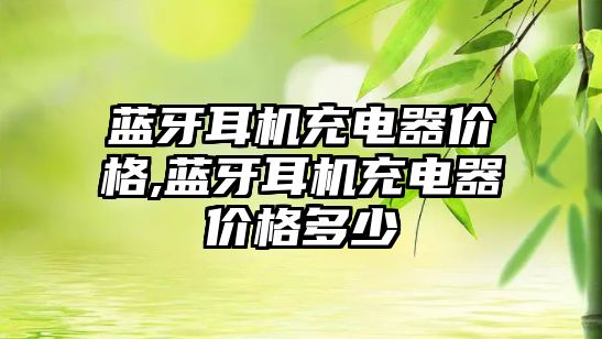 藍牙耳機充電器價(jià)格,藍牙耳機充電器價(jià)格多少
