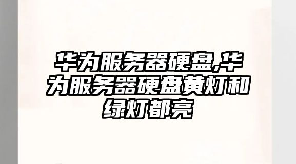 華為服務(wù)器硬盤(pán),華為服務(wù)器硬盤(pán)黃燈和綠燈都亮