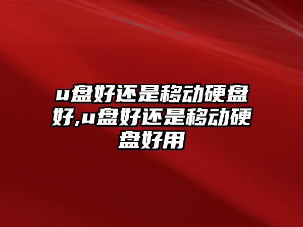 u盤(pán)好還是移動(dòng)硬盤(pán)好,u盤(pán)好還是移動(dòng)硬盤(pán)好用