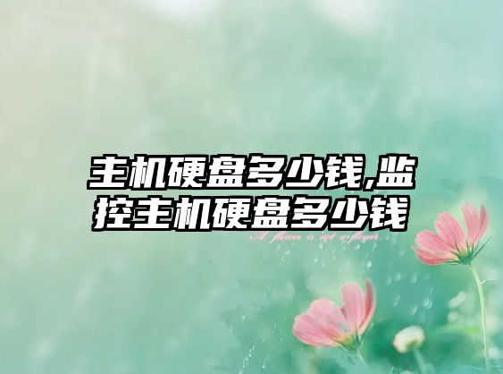 主機硬盤(pán)多少錢(qián),監控主機硬盤(pán)多少錢(qián)