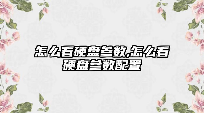 怎么看硬盤(pán)參數,怎么看硬盤(pán)參數配置