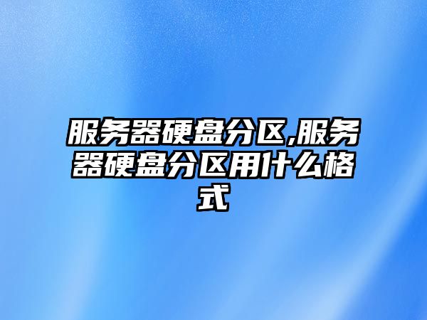 服務(wù)器硬盤(pán)分區,服務(wù)器硬盤(pán)分區用什么格式