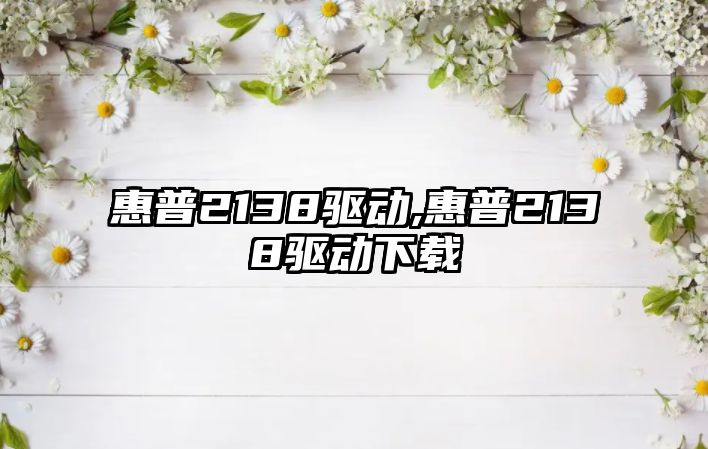 惠普2138驅動(dòng),惠普2138驅動(dòng)下載