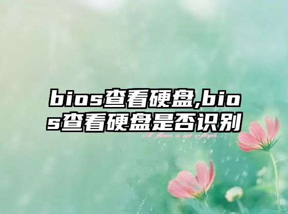 bios查看硬盤(pán),bios查看硬盤(pán)是否識別