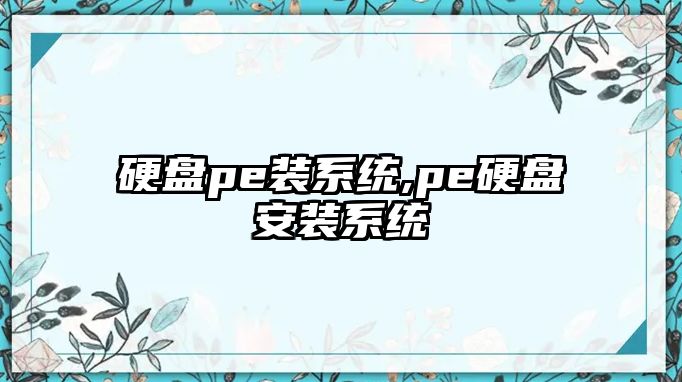 硬盤(pán)pe裝系統,pe硬盤(pán)安裝系統