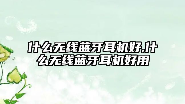 什么無(wú)線(xiàn)藍牙耳機好,什么無(wú)線(xiàn)藍牙耳機好用