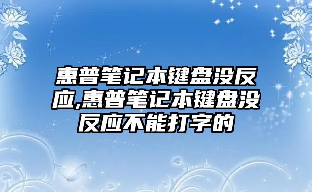 惠普筆記本鍵盤(pán)沒(méi)反應,惠普筆記本鍵盤(pán)沒(méi)反應不能打字的