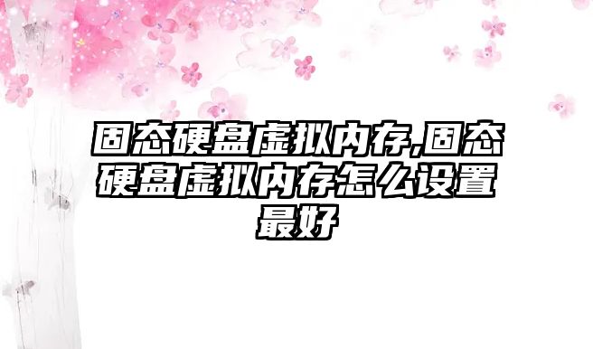 固態(tài)硬盤(pán)虛擬內存,固態(tài)硬盤(pán)虛擬內存怎么設置最好