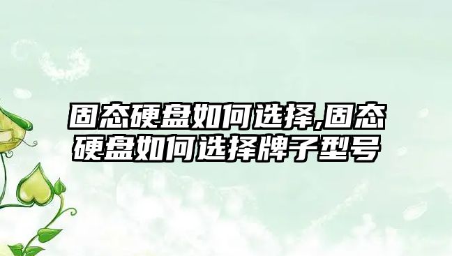 固態(tài)硬盤(pán)如何選擇,固態(tài)硬盤(pán)如何選擇牌子型號