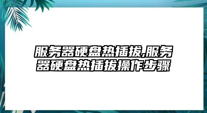 服務(wù)器硬盤(pán)熱插拔,服務(wù)器硬盤(pán)熱插拔操作步驟