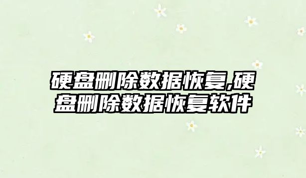 硬盤(pán)刪除數據恢復,硬盤(pán)刪除數據恢復軟件