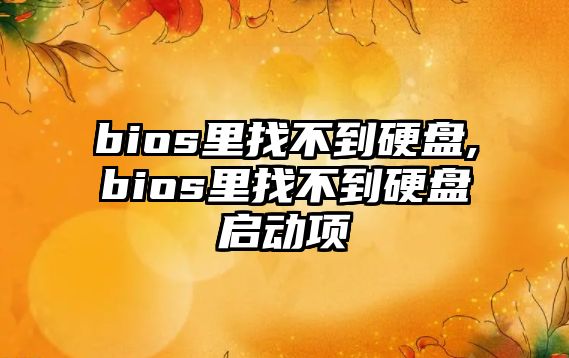 bios里找不到硬盤(pán),bios里找不到硬盤(pán)啟動(dòng)項