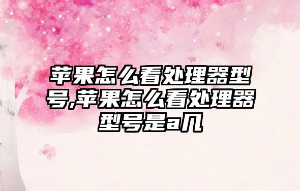 蘋(píng)果怎么看處理器型號,蘋(píng)果怎么看處理器型號是a幾