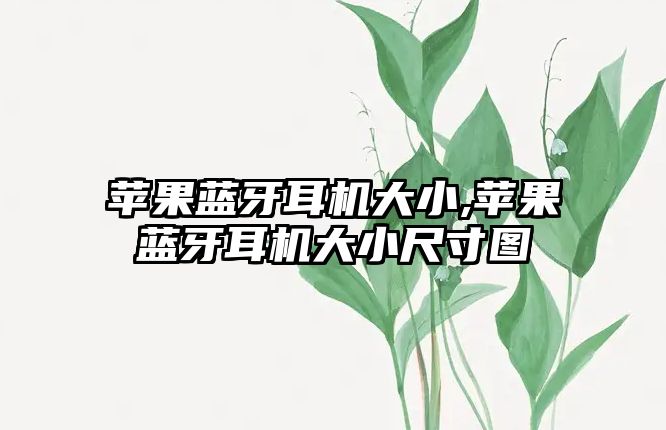 蘋(píng)果藍牙耳機大小,蘋(píng)果藍牙耳機大小尺寸圖
