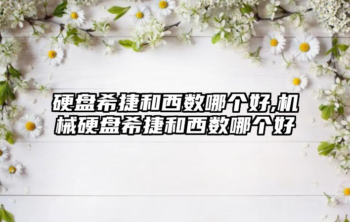 硬盤(pán)希捷和西數哪個(gè)好,機械硬盤(pán)希捷和西數哪個(gè)好