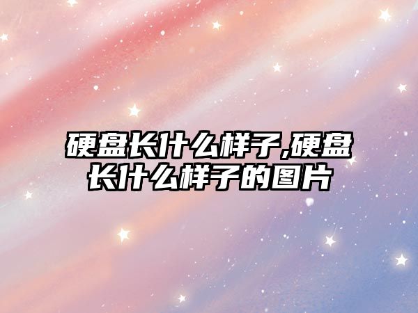 硬盤(pán)長(cháng)什么樣子,硬盤(pán)長(cháng)什么樣子的圖片