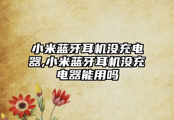 小米藍牙耳機沒(méi)充電器,小米藍牙耳機沒(méi)充電器能用嗎