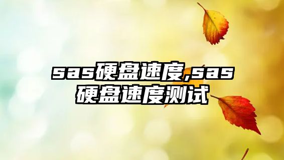sas硬盤(pán)速度,sas硬盤(pán)速度測試