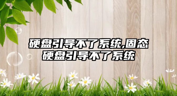 硬盤(pán)引導不了系統,固態(tài)硬盤(pán)引導不了系統