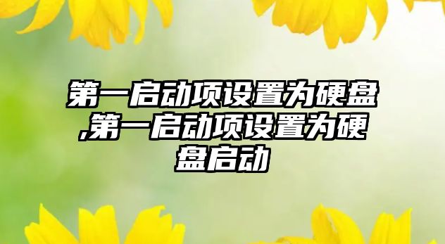第一啟動(dòng)項設置為硬盤(pán),第一啟動(dòng)項設置為硬盤(pán)啟動(dòng)