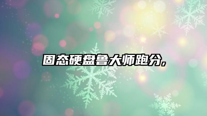 固態(tài)硬盤(pán)魯大師跑分,