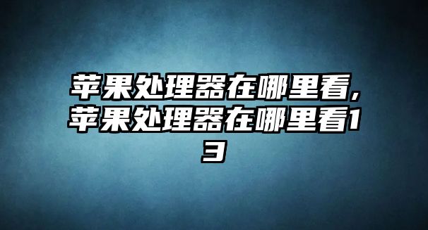 蘋(píng)果處理器在哪里看,蘋(píng)果處理器在哪里看13