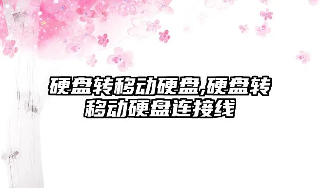 硬盤(pán)轉移動(dòng)硬盤(pán),硬盤(pán)轉移動(dòng)硬盤(pán)連接線(xiàn)