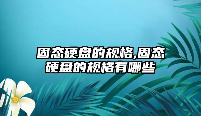 固態(tài)硬盤(pán)的規格,固態(tài)硬盤(pán)的規格有哪些