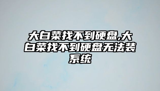 大白菜找不到硬盤(pán),大白菜找不到硬盤(pán)無(wú)法裝系統