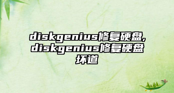 diskgenius修復硬盤(pán),diskgenius修復硬盤(pán)壞道