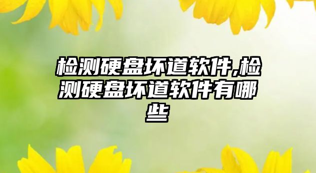 檢測硬盤(pán)壞道軟件,檢測硬盤(pán)壞道軟件有哪些
