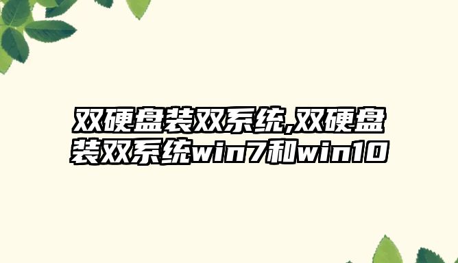 雙硬盤(pán)裝雙系統,雙硬盤(pán)裝雙系統win7和win10