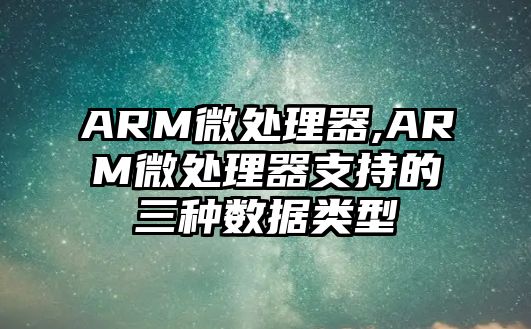 ARM微處理器,ARM微處理器支持的三種數據類(lèi)型