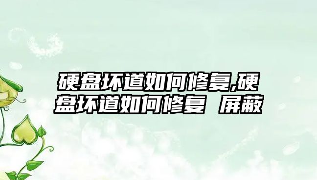 硬盤(pán)壞道如何修復,硬盤(pán)壞道如何修復 屏蔽