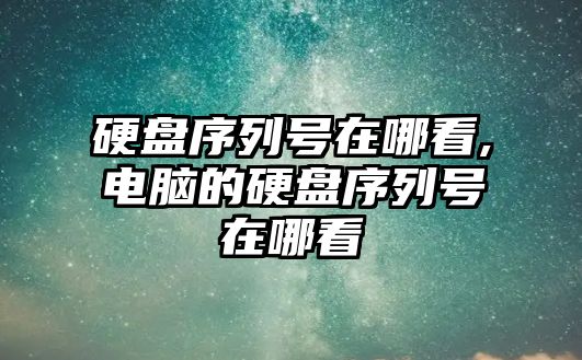 硬盤(pán)序列號在哪看,電腦的硬盤(pán)序列號在哪看