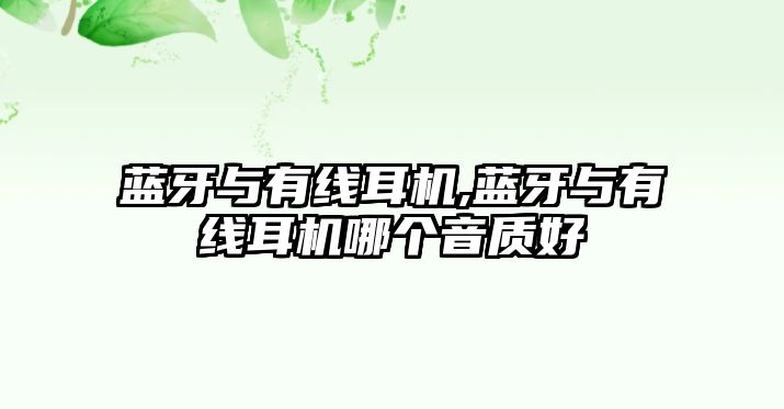 藍牙與有線(xiàn)耳機,藍牙與有線(xiàn)耳機哪個(gè)音質(zhì)好