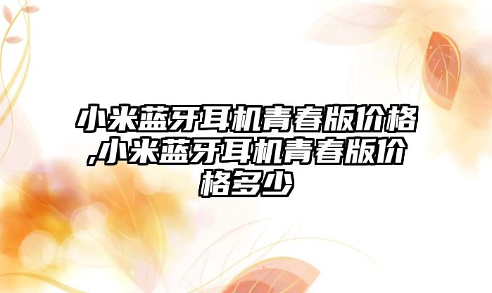 小米藍牙耳機青春版價(jià)格,小米藍牙耳機青春版價(jià)格多少